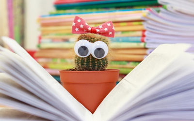 卡密代理内部的网络短信在线发送